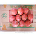 (RED: 70% AND UP) Competitive New Crop Apple